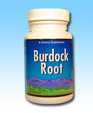 Корни лопуха / Burdock Root